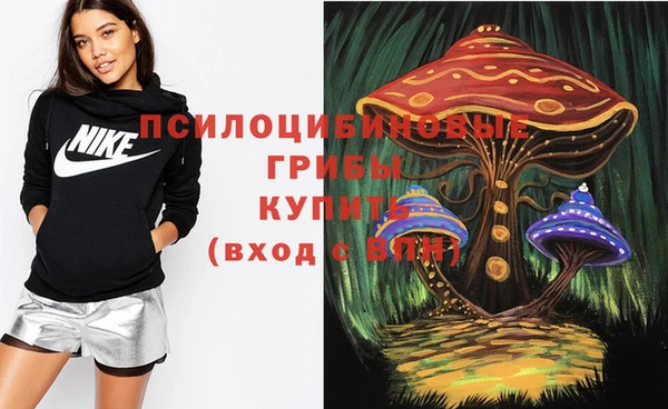 МДПВ Абдулино