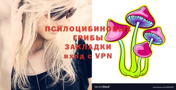 МДПВ Абдулино