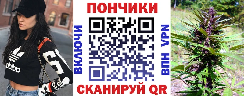 Шишки марихуана конопля  Западная Двина 
